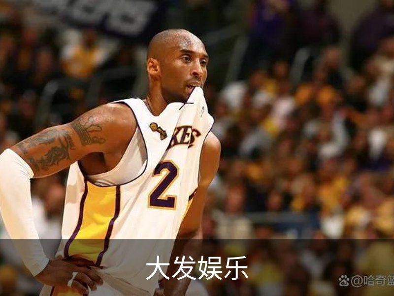 关于大发娱乐